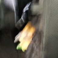 冬野結奈🍏🌸(JAM'S、桜組)さんのアイコン画像