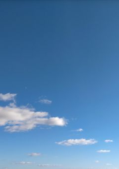 作者が最近思ったことを只々いうだけの部屋＋Reyのお悩み相談室