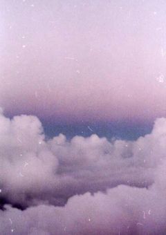 This is a novel for ask