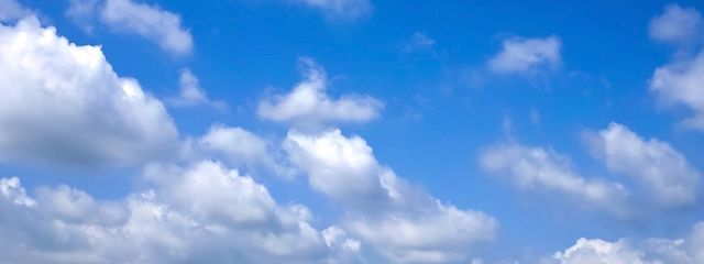 りく！さんの壁紙画像