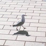 なちさんのアイコン画像