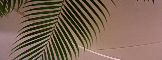 いちはさんの壁紙画像