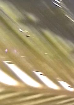 海の家のお兄さん