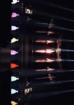 彼女の強火担たち