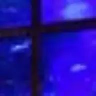 あ。さんのアイコン画像