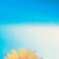 かしわもち👑さんのアイコン画像