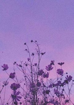 　貴方の　恋人　に　なりたい　＿＿＿＿