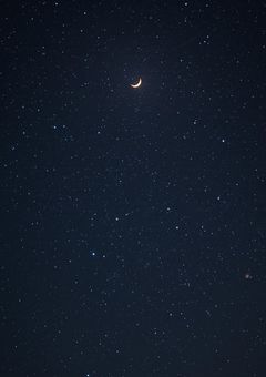 恋と呼ぶには遅すぎて