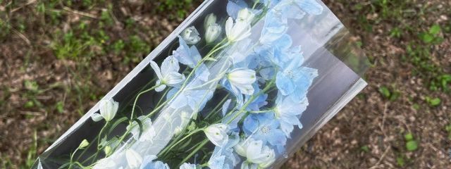 雅さんの壁紙画像