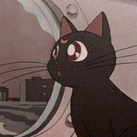 雅さんのアイコン画像