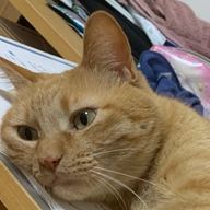 ラムネさんのアイコン画像