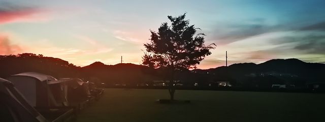 春姫さんの壁紙画像