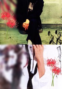 NEWS×喰種