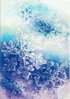 氷に魅入られた青年