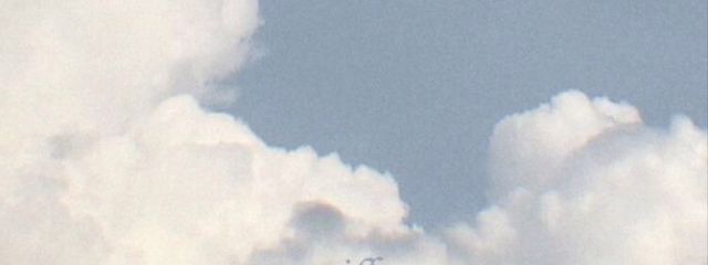Mさんの壁紙画像