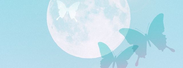 “ Sk ”さんの壁紙画像