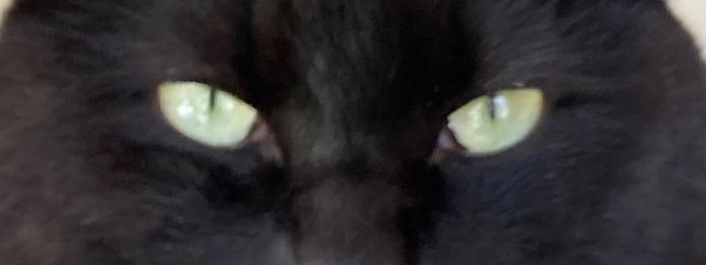 うめさんの壁紙画像