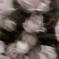 七 美さんのアイコン画像