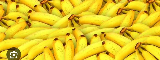 ヤクンさんの壁紙画像