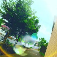 ぁぉ　✌️さんのアイコン画像