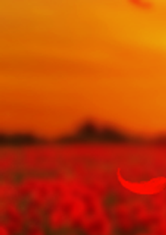 Iris×呪術廻戦×暗殺教室！（？）