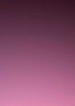 IrisBL🔞🔞🔞（🎲）