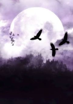 売られた王子（🎲）