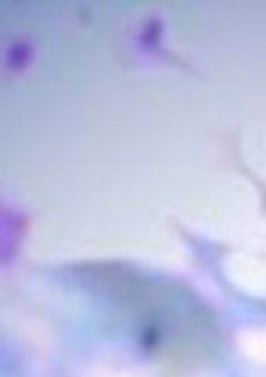 魔法学園にいる妖怪（🎲）