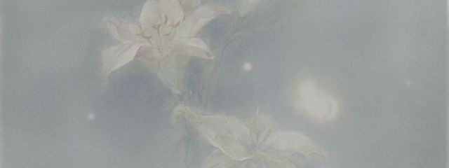 지원さんの壁紙画像