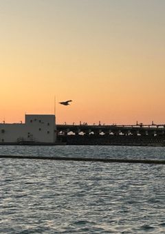 ストレス溜まってる系日本人