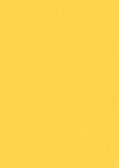 d！: 黄色右のみ