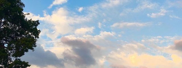 りあさんの壁紙画像