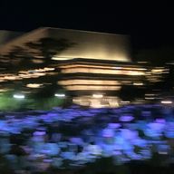 蒼空さんのアイコン画像