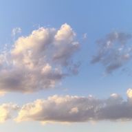 ルリ🌊🖤🧡💚💗さんのアイコン画像