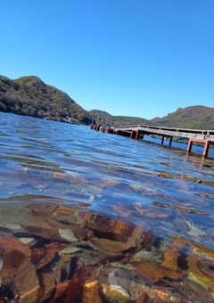 色んな人達喘がせてみた