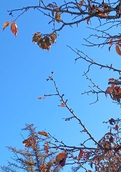 陽キャと"愛されキャラ"と友達なのに何故俺はモブなんだ😡‪💢