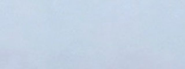 Rわんこさんの壁紙画像