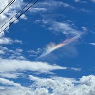 伊波さんのアイコン画像