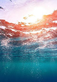 【 cxxv 参加型 】優等生 vs 問題児  .