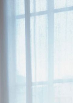 先輩のお気に入り