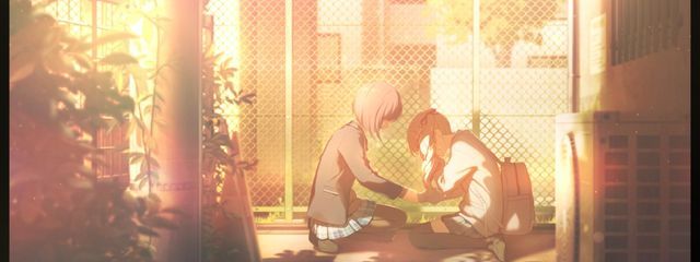 さくら/フォロバ絶対☆700人目標さんの壁紙画像