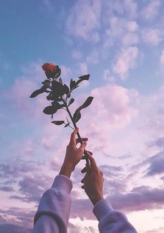 実況者小説単発集