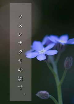 ワスレナグサの隣で。