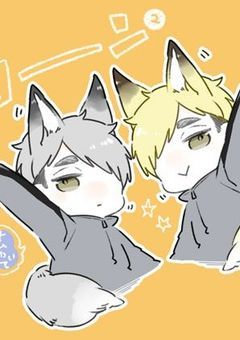 双子の狐拾っただけなのに…