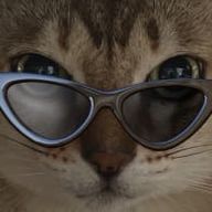 furahaさんのアイコン画像