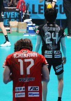 残酷の中に咲く花