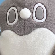 るあんさんのアイコン画像
