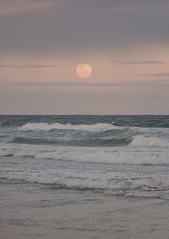 脱出おひとり島