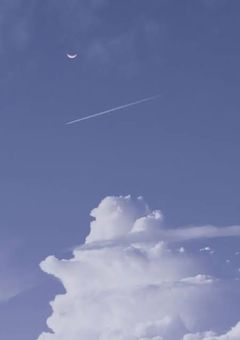 女装男子、ツンデレ（？）を推し活中らしいです