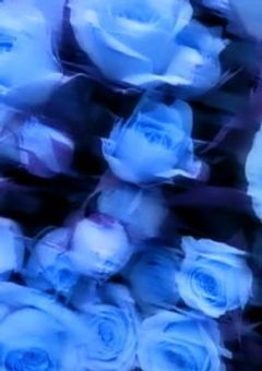 　参加型設定　。